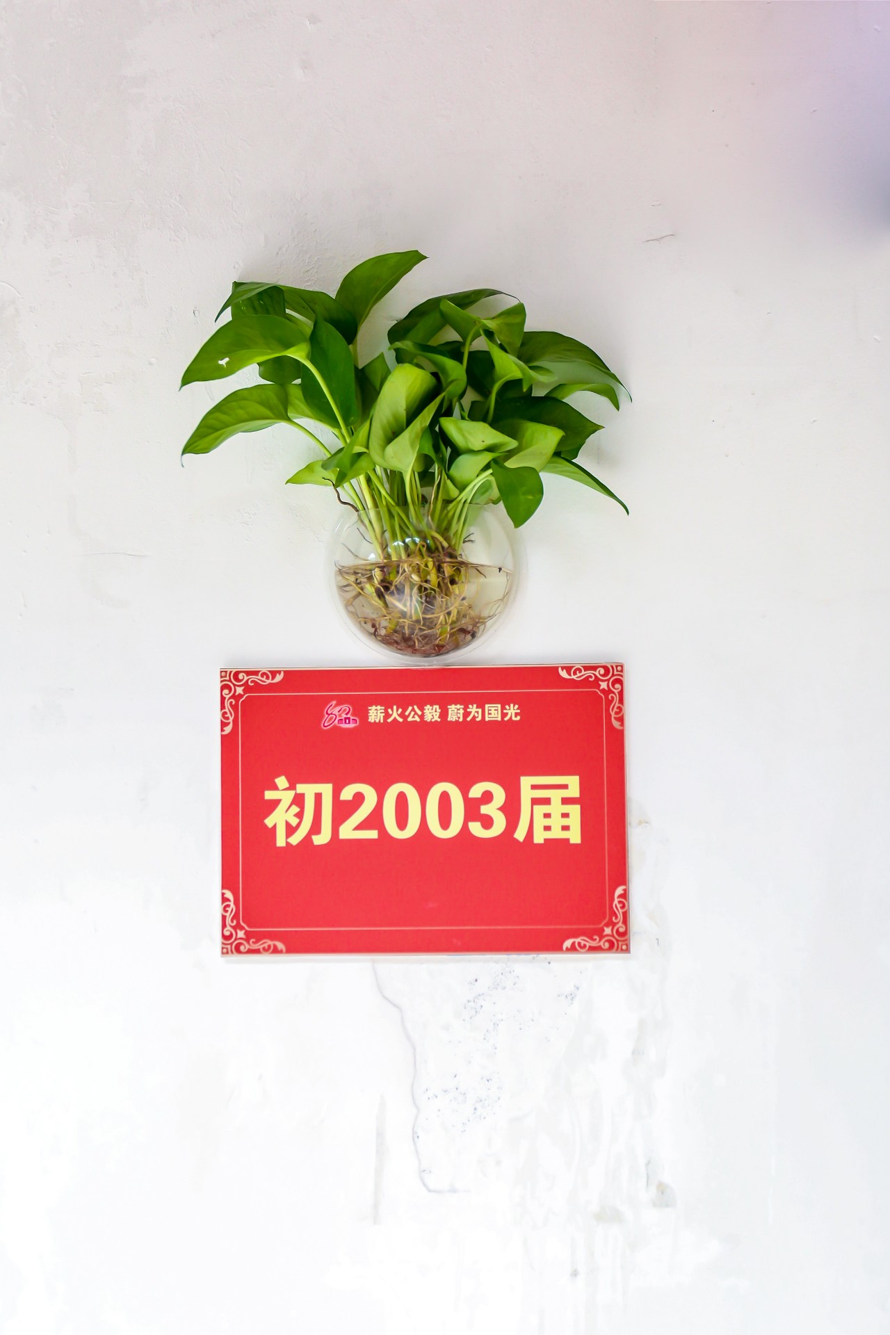 1713368976872112.jpg